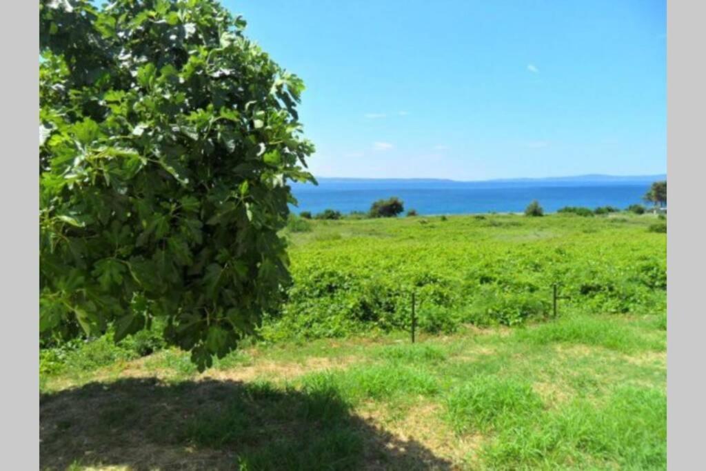 Summerhouse Calypso Σπλιτ Εξωτερικό φωτογραφία