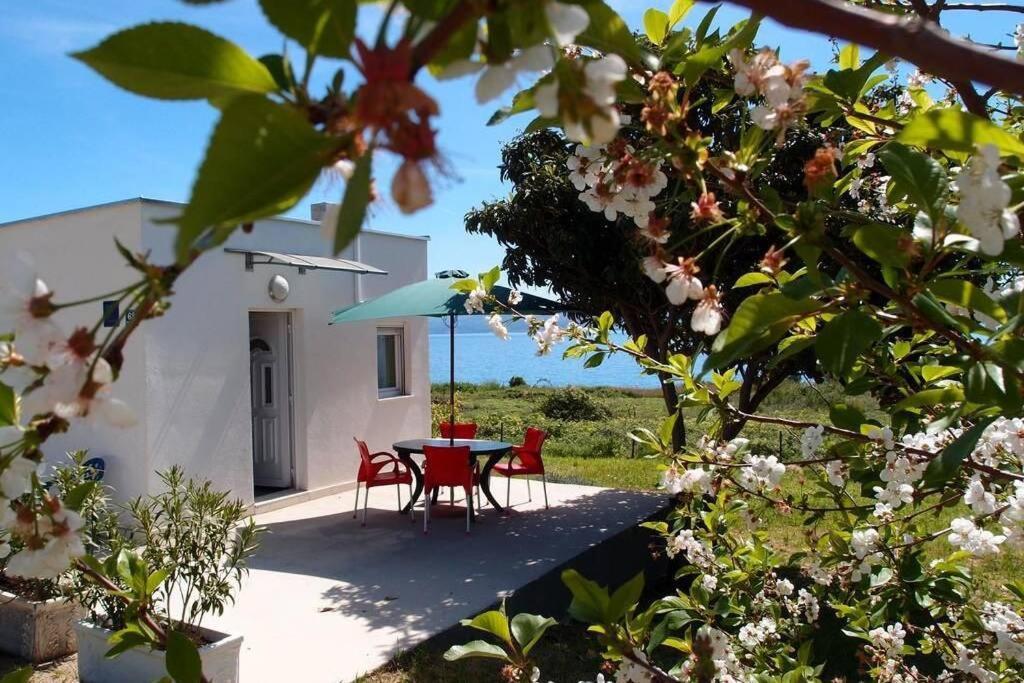 Summerhouse Calypso Σπλιτ Εξωτερικό φωτογραφία